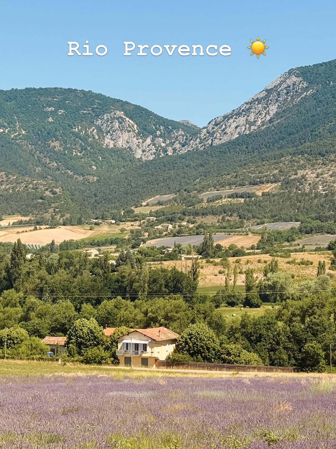 Photo by Rio Provence on June 28, 2026. May be an image of French lavender, lavender and text that says 'Rio Provence'.